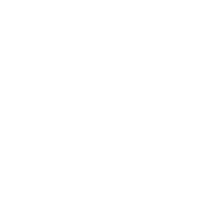 New York Style